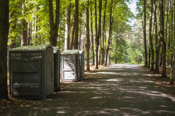 Best Porta potty rental for parties  in Clear Lake, WI